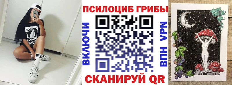 Псилоцибиновые грибы мицелий  Хотьково 